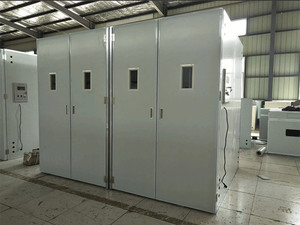Dezhou <span class=keywords><strong>Hansen</strong></span> 22528 incubadora de huevos de fabricantes de china, incubadoras de huevo - Product Image 2