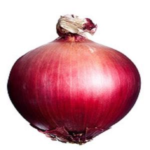 Venta caliente Aceite de cebolla prensado en frío Aceite esencial de cebolla orgánico puro al precio más bajo - Product Image 1