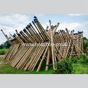 Perchoirs en bambou de qualité supérieure, pour la Construction et la décoration intérieure - Product Image 5