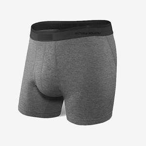 2024 Breathable Plus Size Wire Free Men's Fitness Panties Cotton Boyshort Japanese Fashion Underwear Quality Bamboo Fiber Sexy - Product Image 1