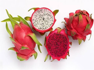 Fruit du dragon séché au goût sucré du Vietnam conservé en tranches style emballage en vrac processus de séchage AD - Product Image 2