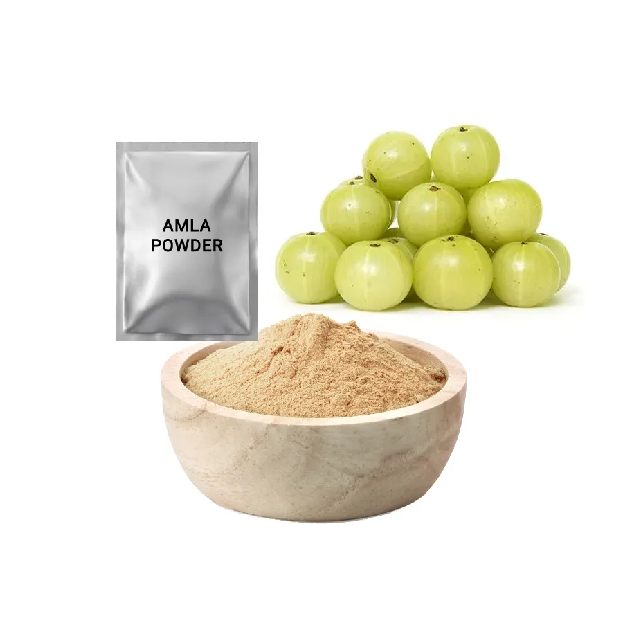 Extrait de Fruit Amla pour cheveux sans effet secondaire, forme de poudre de haute qualité, marque privée de baies de cygne indiennes