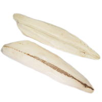 Fruits de mer surgelés IQF de qualité supérieure, Xiphias Gladius, provenant de Côte d'Ivoire, certifiés HACCP, grade A, nutritifs et issus de poissons sauvages
