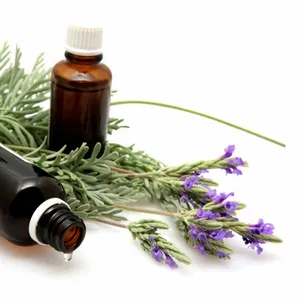Manufacturer of Pure and Natural Organic Lavender Essential Oil in Bulk Quantity at low rates