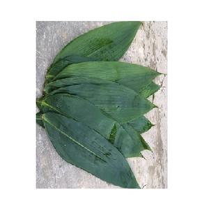 Extrait de bambou/VIET NAM HAUTE QUALITÉ MS.SOPHIE - Product Image 1