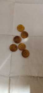 Boutons en forme de corne, style naturel, existe en tailles assorties, convient aux fabricants de vêtements et magasins de perles, pièces - Product Image 3