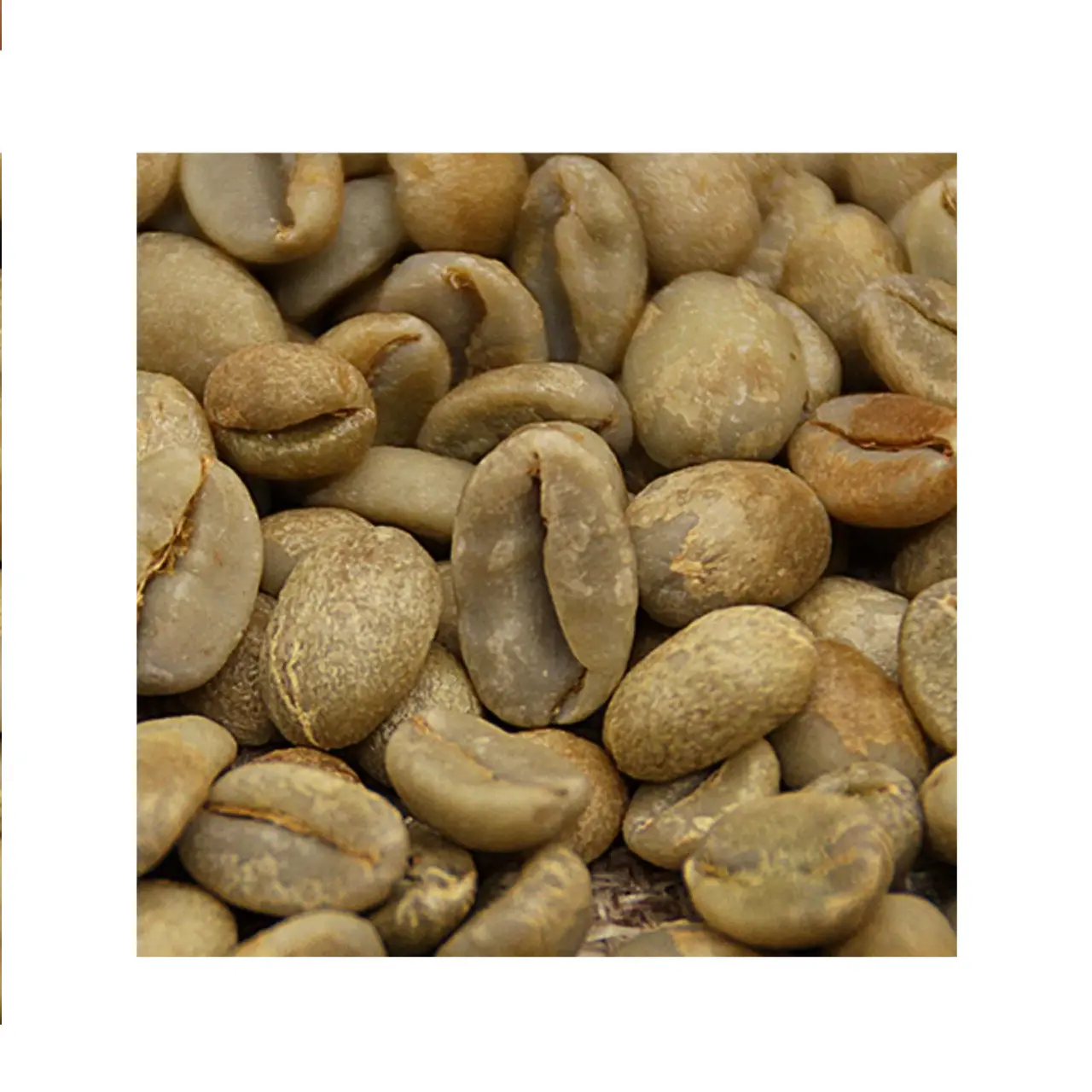 Wholesaler Unroasted Raw Bolsas Para Cafe Organic Products Whole Bean Coffee Arabica Coffee Beans
