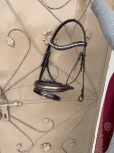 Bride en cuir pour cheval plié - Product Image 4