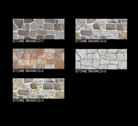 Revêtement mural extérieur en céramique numérique de qualité supérieure, carreaux d'élévation 600*200mm