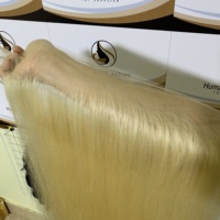 Vente en gros pas chère # Cheveux humains vierges Remy vietnamiens blonds 613 lisses HD pour perruque transparente 13*4 double avec cuticules alignées