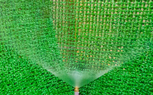 Pulvérisateur d'eau en laiton pour tuyau polyvalent - Arroseur extérieur pour usage agricole estival - Product Image 2