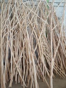 Style d'art populaire, bois flotté, bois de teck naturel, technique polie - Product Image 4