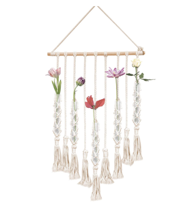 Macetero de pared para interior, planta colgante, maceta de flores decorativa - Product Image 1