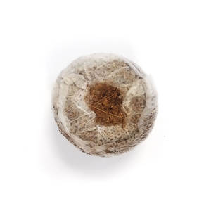 Semillas de disco de turba de coco natural biodegradable, respetuoso con el medio ambiente, pellet de coco para vivero - Product Image 4