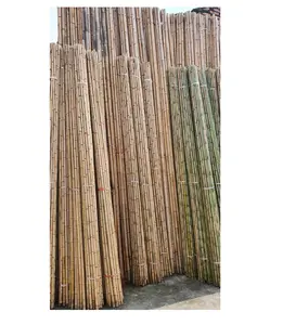Cheap Bamboo Tree From Vietnam For Dry Bamboo Pole Wholesale Price