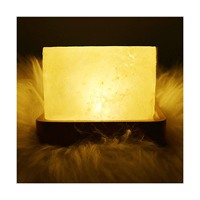 2024 gros personnalisé IMPEX PAKISTAN rose sel de l'Himalaya lampe sculpté Technique décoration de la maison forme personnalisée artisanat naturel