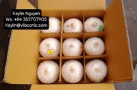 Verse Kokosnoot Speciale Aanbieding Vietnam Origin + 84796855283