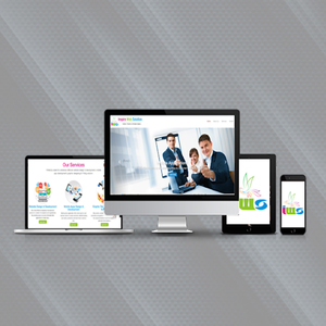 บริษัทพัฒนาซอฟต์แวร์ที่สะดุดตาอย่างมืออาชีพสำหรับอเมริกาเหนือ | การออกแบบและพัฒนาเว็บไซต์ที่สะดุดตาที่สุดในสหรัฐอเมริกา - Product Image 1