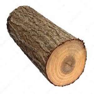 Europe White <b>Oak</b> Bilinga Wood Round <b>Logs</b> for Sale - Product Image 6