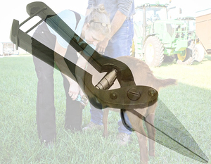 Sheep Foot Rot shear Goat Rot Shears Hoof Cutters Trimmer <b>Veterinary</b> <b>Instruments</b> - Product Image 5