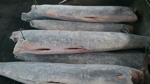 El arroz es muy bonito, El itaminas se encuentra en el eawood, Rozen tripe Arlin - Product Image 2