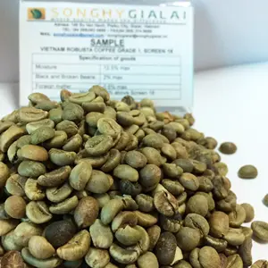 Viet Nam Coffee beans - ROBUSTA COFFEE Grade 1 Screen 18 Cleaned- Best Price from Song Hy Gia Lai