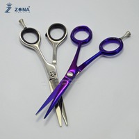 Tijeras de Peluquería Profesionales Más Vendidas, Tijeras de Corte de Pelo de Acero Inoxidable para Diestros con Marca Privada