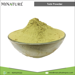 Superior Quality Hot Selling Wholesale Quantity Supply Pure and Natural Herbal <strong>Tulsi</strong> <strong>Powder</strong> for Bulk Buyers