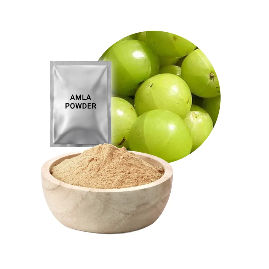 Fabricant de poudre Amla à base de plantes indiennes à bas prix, exportation de poudre de soins capillaires OEM, forme amla de haute qualité