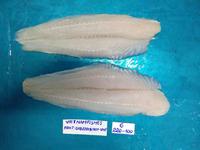 Filet de Pangasius surgelé IQF de qualité supérieure en provenance du Vietnam, certifié HACCP et HALAL, emballage sous vide de 25 kg, durée de conservation de 2 ans, prix bas