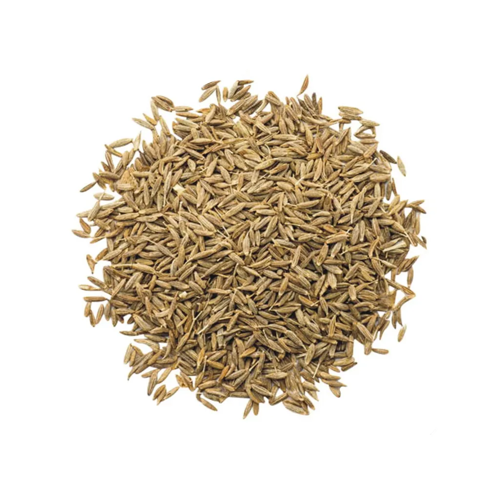 Top Best Natural Quality Cumin Seed Buy At Less Market Price On Bulk Order