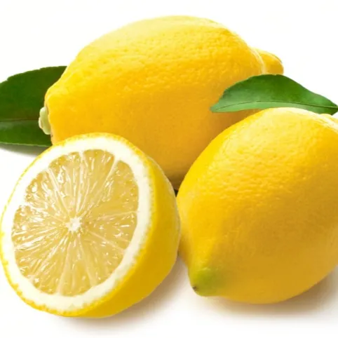 Лимоны овощи Цитрусовые фрукты органический лимон оптовая цена