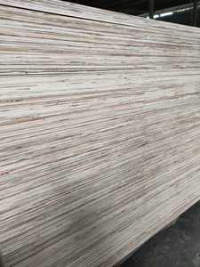 Bintangor ไม้อัดเบิร์ช4x8ทนทานต่อการค้ากาว WP หนา11.5มม. E0ตรฐานสำหรับเฟอร์นิเจอร์โรงแรมและรับประกัน1ปี - Product Image 6