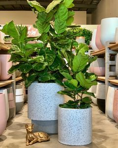 Macetas de Cemento Crudo con Acabado Color Concreto, Estilo Tailandés, con 3 Tamaños para Decoración de Interiores - Product Image 3