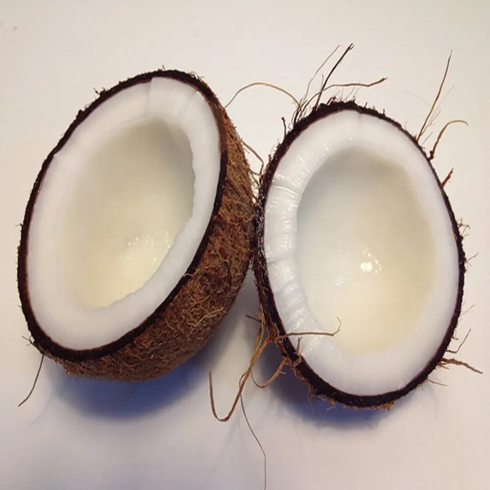 태국 최고의 코코넛 재배 지역에서 GI 상을 수상한 코코넛 밀크를 만들기위한 반 껍질 코코넛