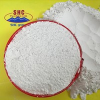 Bubuk Batu Kapur Berkualitas Tinggi untuk Pakan Ternak Kemurnian Tinggi Kalsium 80/250 Mesh 50kg Kantong PP Garansi 5 Tahun Penggunaan Rumah Tangga Putih SHC