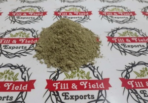 Gudmar panchang bột-<span class=keywords><strong>gymnema</strong></span> <span class=keywords><strong>sylvestre</strong></span> toàn bộ nhà máy bột chất lượng tốt - Product Image 6