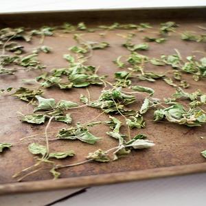 100% Feuille de menthe séchée biologique Épice d'herbes séchées à la machine de haute qualité 5kg 10kg 15kg Sacs 100% Pure Ad-Dried Process Cuit - Product Image 3