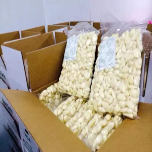 MS Angela กานพลูกระเทียมแช่แข็ง - Product Image 5