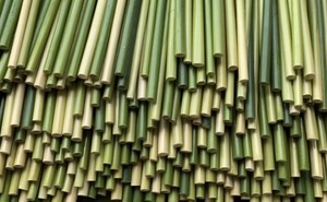 High Quality Eco-Friendly Natural Biodegradable Wheat-Straw <b>Drinkware</b> <b>Accessories</b> Made in Vietnam - Product Image 4