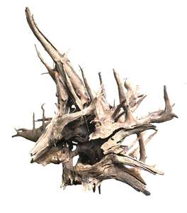 ซากไม้ตู้ปลา - Product Image 3