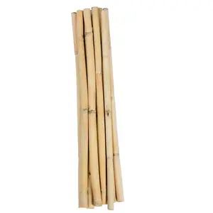 Natural bamboo poles/forest product in Viet Nam