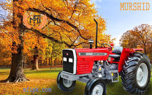 Massey ferpoignet MF 385 2wd, nouveau modèle en promotion - Product Image 5