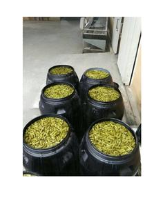 Cornichons au cornichon salés Concombre frais légumes conservés au vinaigre cornichons en conserve à bas prix-Ms Caryln 0084935825297 - Product Image 3