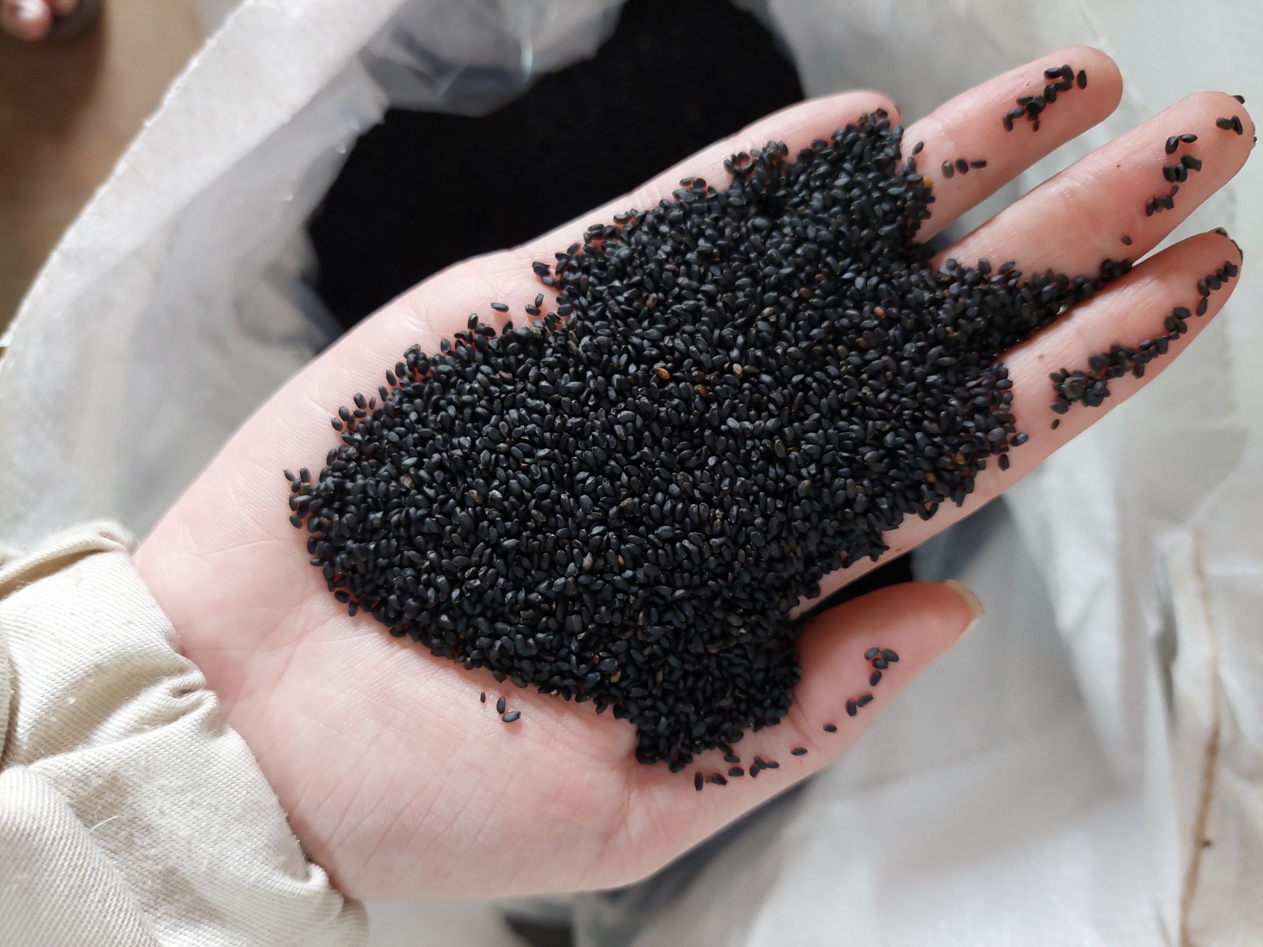 Chia籽/罗勒籽/ocum饮料，价格有竞争力99黄金数据| Alibaba.com