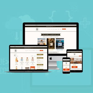 PHP Website Design & <b>Development</b> Company in India | Award Winning PHP Website Design & <b>Development</b> Services by Webroot Infosoft - Product Image 2