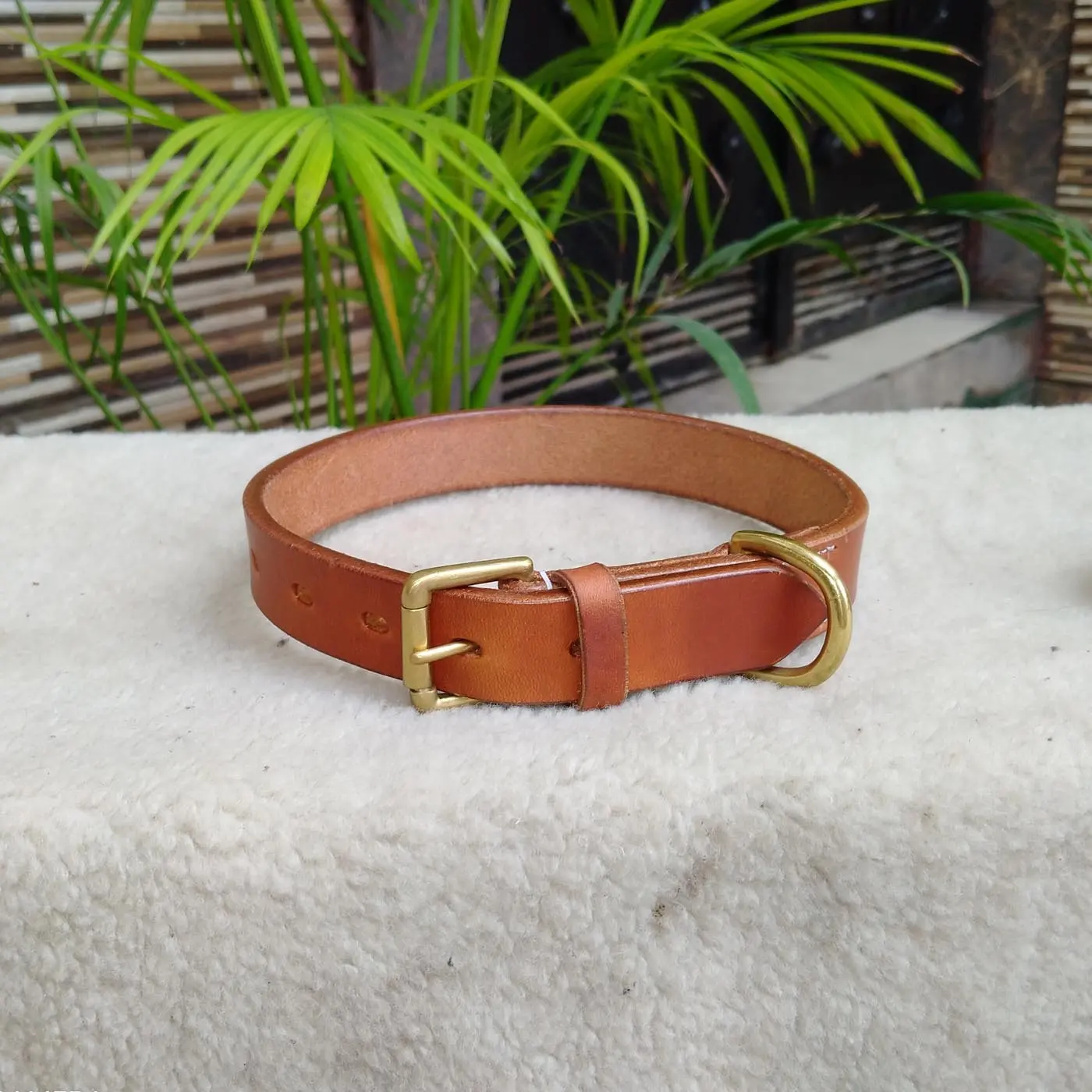 Top Quality - Full Grain American Cow Leather Dog Collar-6ミリメートルThick Leather - Solid Brass Buckle & D-RingとRivet Fasten