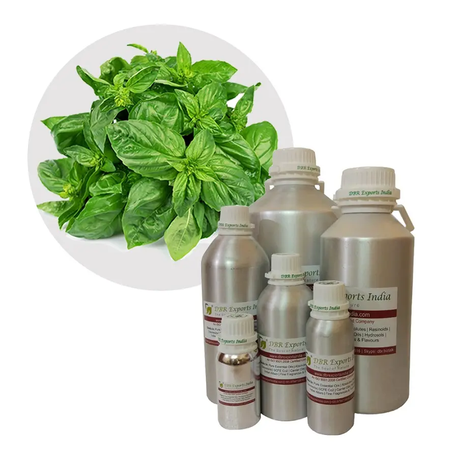 Pure Basil Oil Ocimum Basilium Essential Oil manufacturer at bulk quantity Pure Basil Oil