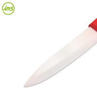 Cuchillo de Cerámica para Frutas, Ligero (43g), con Mango de PP y Revestimiento Suave, Hoja de Acero Inoxidable, Imprescindible para la Cocina Moderna Familiar, Ideal para Restaurantes