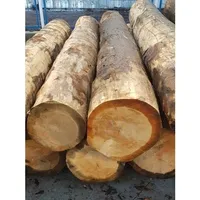 Высококачественная круглая Тиковая древесина, талийская древесина, падук, сосна, бокс, азобе древесина и деревянные бревна